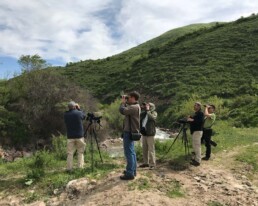 Birding-group-in-kaskelen