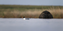 Floating-hide-photography-in-Kazakhstan