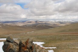 Steppe-in-Mongolia