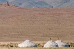 Yurts-in-Mongolia