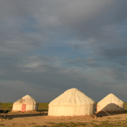 yurt camp and birding in kazakhstan